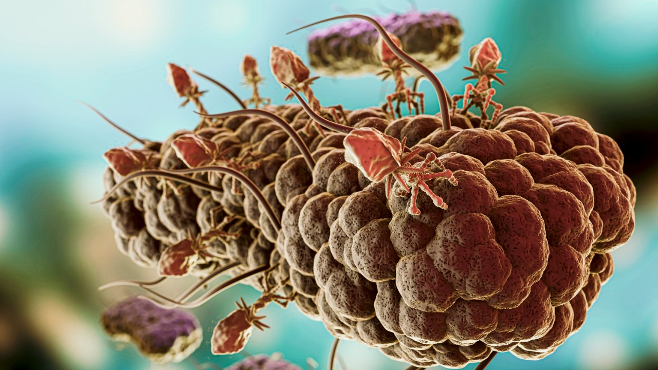Salud emite aviso preventivo por brote intestinal en Estados Unidos: esto debes saber