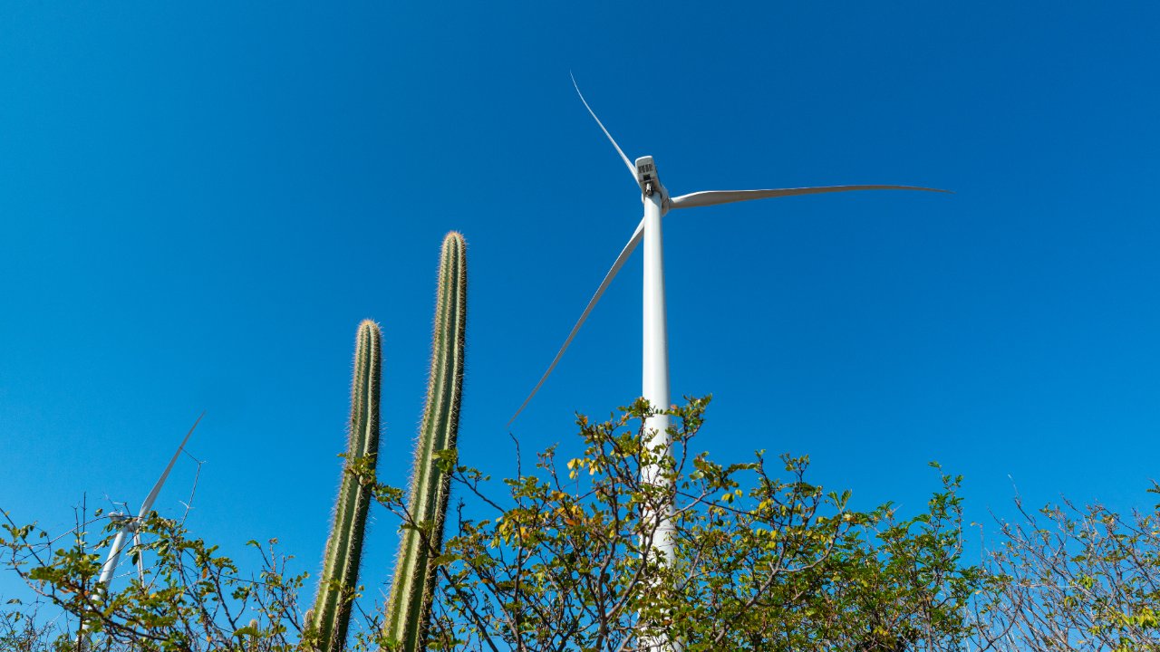 CFE y Cubico invertirán 1,000 mdd en energía limpia para México