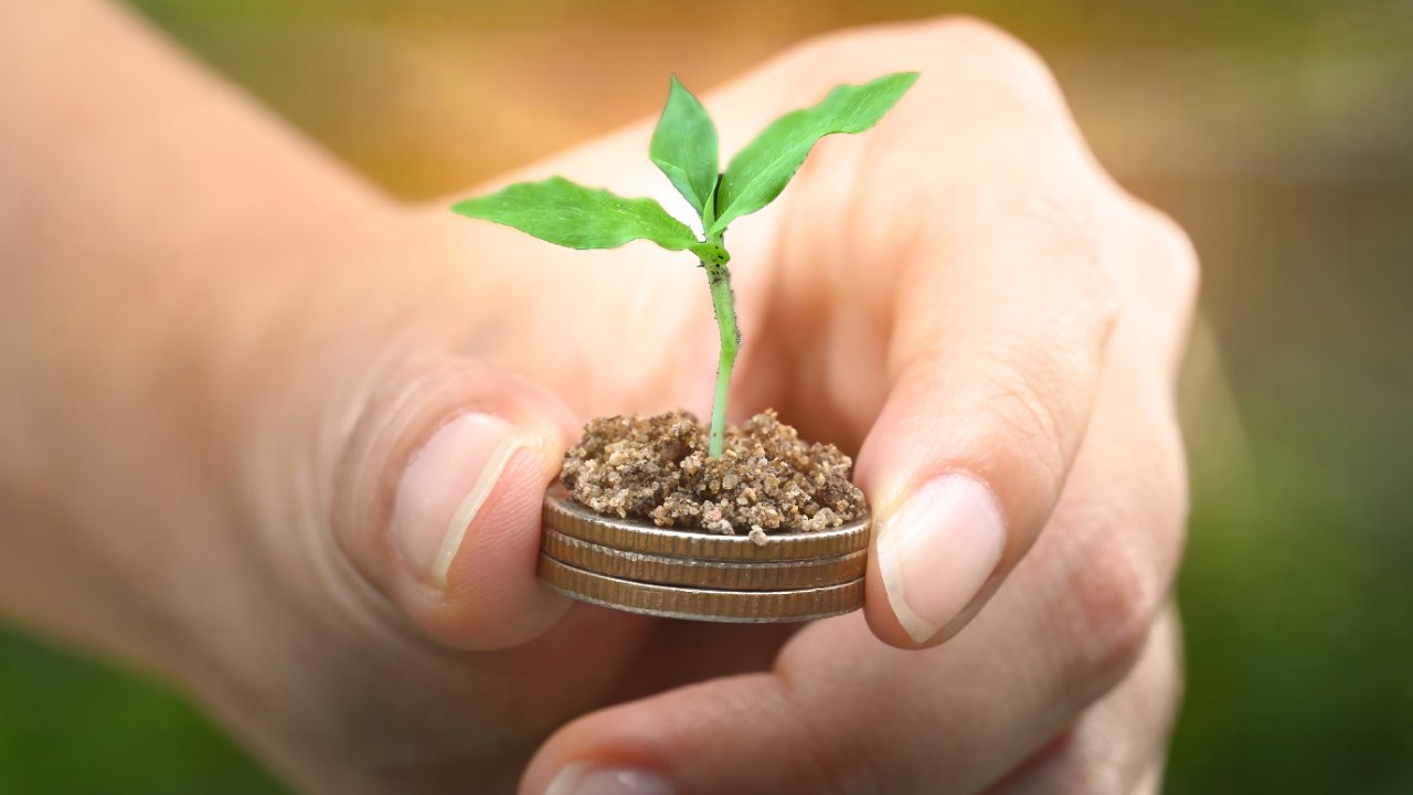 México lanza fondo para convertir la ecología en negocio