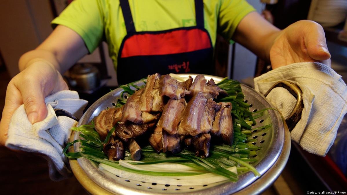 Corea del Sur se despide para siempre de la carne de perro
