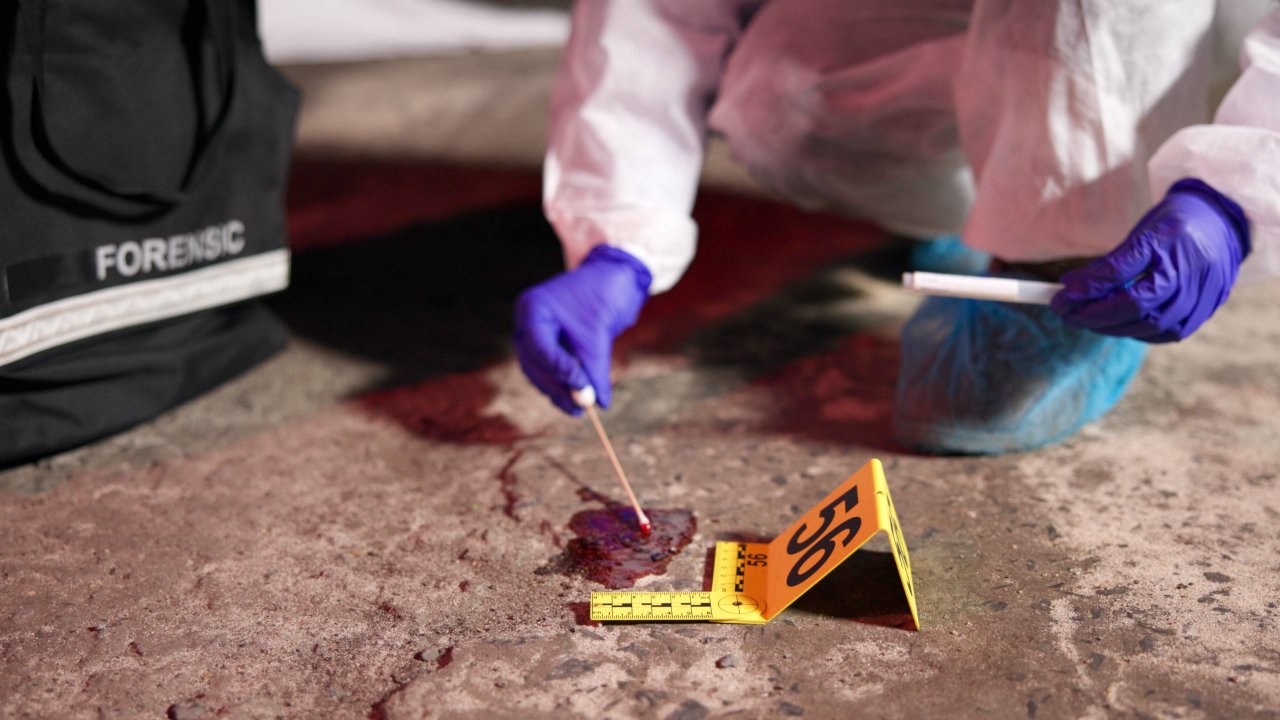 México registra su día con menos homicidios en 15 años