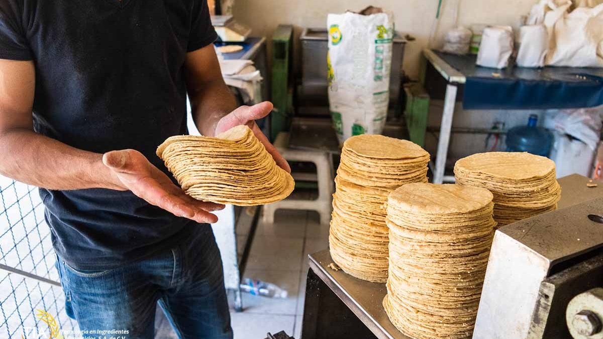 Crisis en las tortillerías, sobreoferta y cambios de consumo asfixian al sector